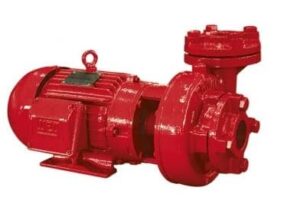 MOTOBOMBA INCENDIO PRINCIPAL 5 CV - 2 1/2 x 2 1/2